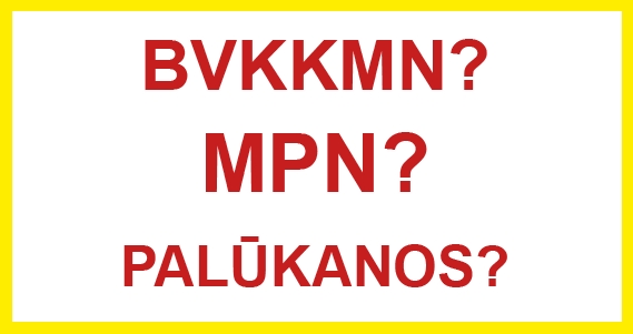 Ką reiškia sąvokos BVKKMN,  MPN ir PALŪKANOS?