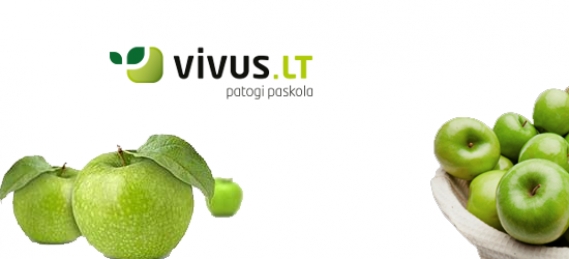 Vivus.lt siūlo patogias paskolas!