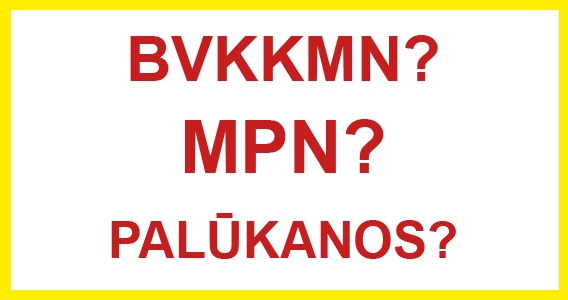 Ką reiškia sąvokos BVKKMN,  MPN ir PALŪKANOS?