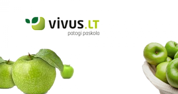 Vivus.lt siūlo patogias paskolas!